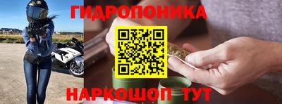 дмт Гуково